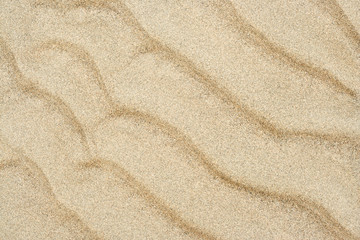 Wall Mural - Beach sand background