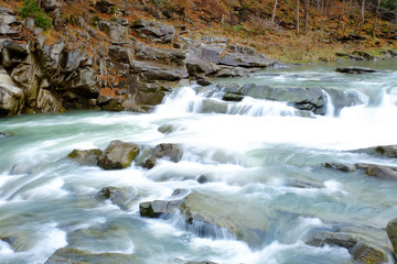 Canvas Print - Mountain river flowing through autumn forest