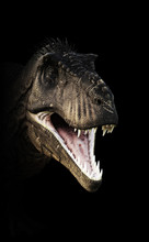 A Tyrannosaurus Rex Head Piercing Through The Darkness. 3d Rendering