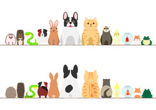 Pet Animals Border Set, Front View And Rear View
