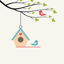 Birds On Branch Of Tree And Birdhouse. 