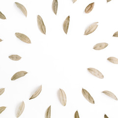Wall Mural - Round frame made of dried brown leaves. Flat lay, top view