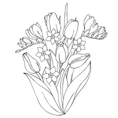 Wall Mural - vector monochrome contour illustration of freesia tulip narcissus daffodil flowers bouquet