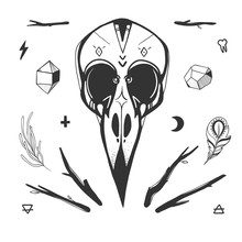Bird Skull, Minerals, Sticks, Feathers And Mystic Gothic Symbols. Mysterious Vector Illustration With Bird Skull Isolated On White. Hand Drawn Birds Skull And Shamanic Objects.