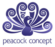 Peacock Bird Peafowl Icon Concept