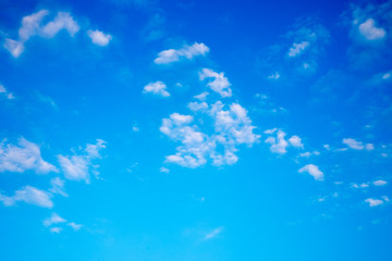 Wall Mural - blue sky and cloud