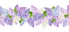 Vector Horizontal Seamless Background With Lilac Flowers.