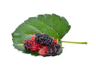 Mulberry with leaf on white background