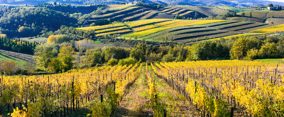 Vast autun vineyards of Tuscany. Famous wine region Chianti