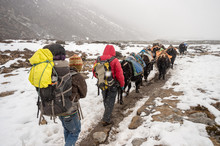 Trekkers, Sherpas And Yak Shepherds In The Himalayan Regions During Stnowstorm