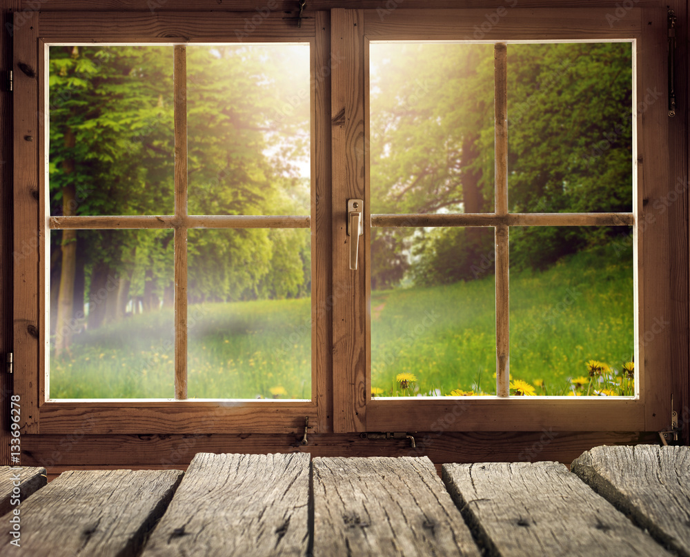 Holzhütte mit Ausblick auf eine Waldlichtung im Frühling/Frühsommer bei Sonnenschein - obrazy, fototapety, plakaty 
