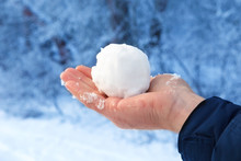 Snowball On The Naked Man's Hand On A Background Of A Winter Forest. Close-up