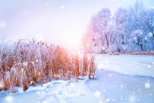 Beautiful Winter Landscape Scene With Snow Covered Trees And Ice River