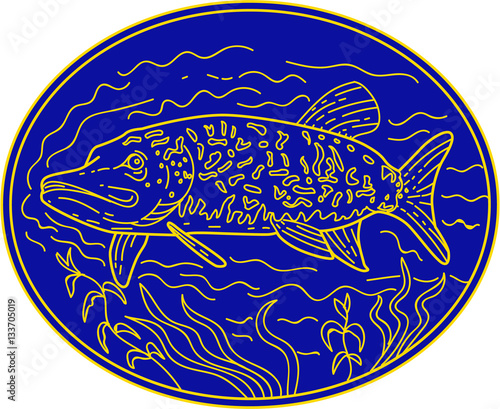 Fotomural Northern Pike Fish Oval Mono Line