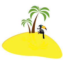 Toucan Under A Palm Tree