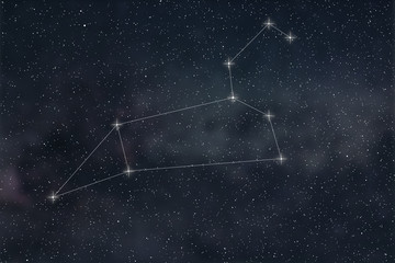 Wall Mural - leo constellation. zodiac sign leo constellation lines