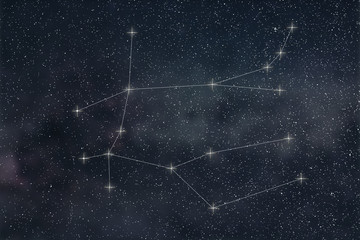 Wall Mural - Gemini Constellation. Zodiac Sign Gemini constellation lines