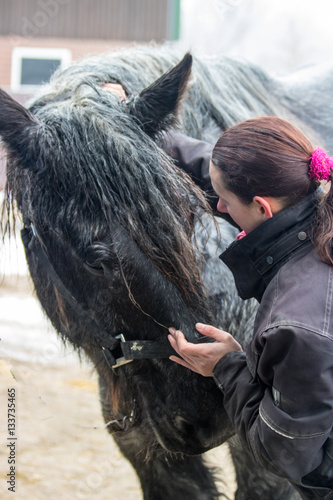 Fotomural horse, equine physical,osteopathy therapy
