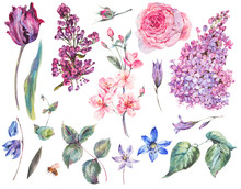 Spring Floral Set Of Vintage Watercolor Pink Roses, Leaves, Bloo