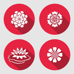 Wall Mural - Flower icons set. Lily, blue poppy, chamomile daisy gowan. Floral symbols. Round circle flat sign with long shadow. Vector