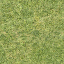 Lawn Grass, Seamless Texture,  Pavement, Tile Horizontal And Vertical