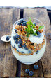 Healthy Breakfast of Granola blueberries and yogurt