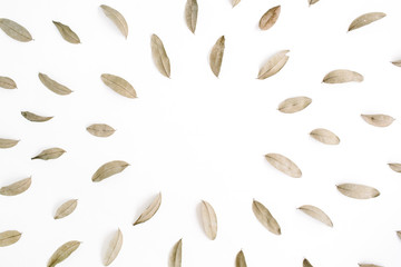 Wall Mural - Round frame made of dried brown leaves. Flat lay, top view