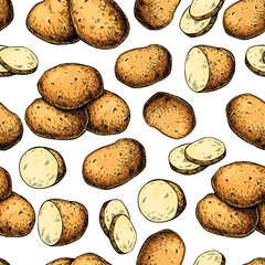 Wall Mural - Potato vector seamless pattern. Hand drawn food background. Drawing