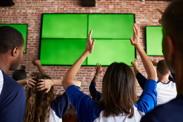 Wall Mural - Rear View Of Disappointed Friends Watching Game In Sport Bar