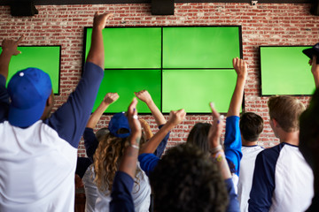 Wall Mural - Rear View Of Friends Watching Game In Sports Bar Celebrating