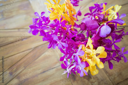 Colorful exotic orchid