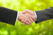 © TeamDF - Handshake in front of green leaves background