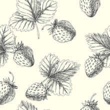 Strawberry. Vector Seamless Pattern. Floral Hand Drawn Illustration