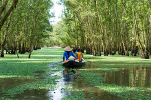Tourism Rowing Boat In Mekong Delta, Vietnam