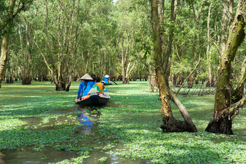 Wall Mural - Tourism rowing boat in Mekong delta, Vietnam