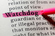 definition of watchdog