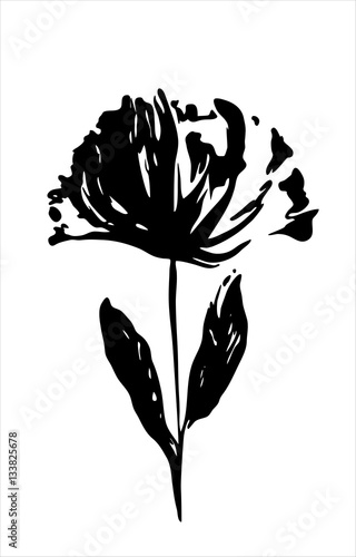 Black silhouette of a flower on white background. Stock Vector | Adobe Stock