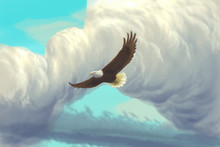 Eagle Flying In The Sky / Digital Painting / Cartoon