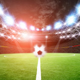 Fototapeta Sport - Soccer field with green grass and lights