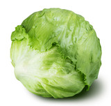 Fototapeta Koty - iceberg lettuce cabbage isolated on white