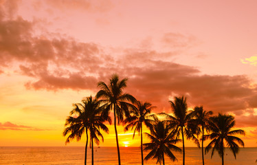 Tropical island sunset. 