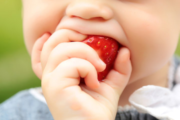 small child eating red strawberry