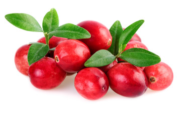 Wall Mural - Isolated cranberries closeup. Fresh cranberries with leaves isolated on white