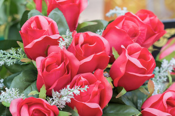 Wall Mural - Red rose flower