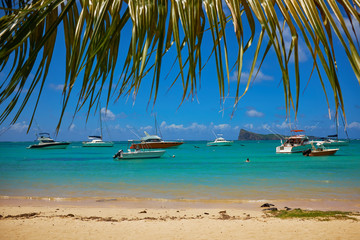 Wall Mural - Tropical coast, beach with hang palm trees,  vacation .