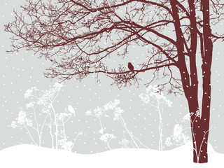 Wall Mural - tree in the snowy day