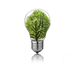 Lightbulb with tree inside isolated