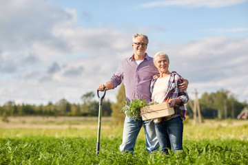 Canvas Print - senior couple with shovel and carrots on farm