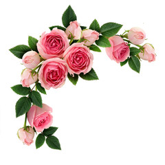 Wall Mural - Pink rose flowers and buds circle arrangement