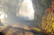 © federherz - Couple is walking together in a foggy forest in the morning sun